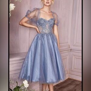La Divine by Cinderella Divine Tull prom dress
